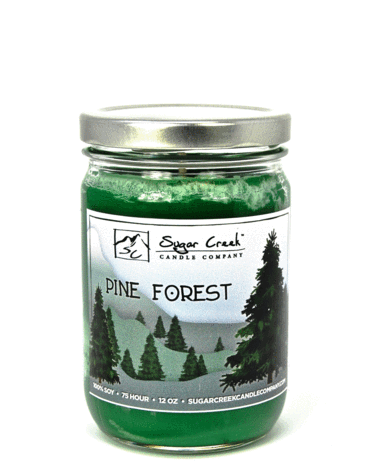 Pine Forest - Candle (480x480), Png Download