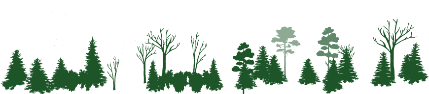 Www - Fws - Gov/chesapeakebay - White Pine (941x234), Png Download