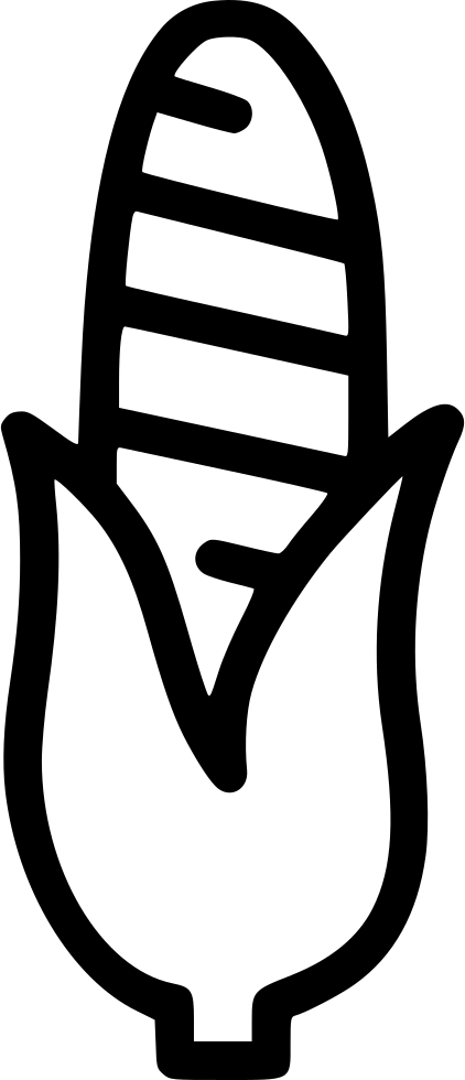 Corn Grain Maize Sweet American Food Comments (422x980), Png Download