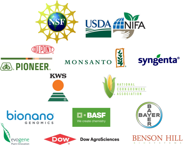 Interested In Becoming A Sponsor Of The Maize Genetics - National Science Foundation (650x488), Png Download