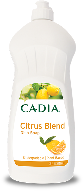 Garnier Intensive 7 Days Body Lotion Mango (700x700), Png Download