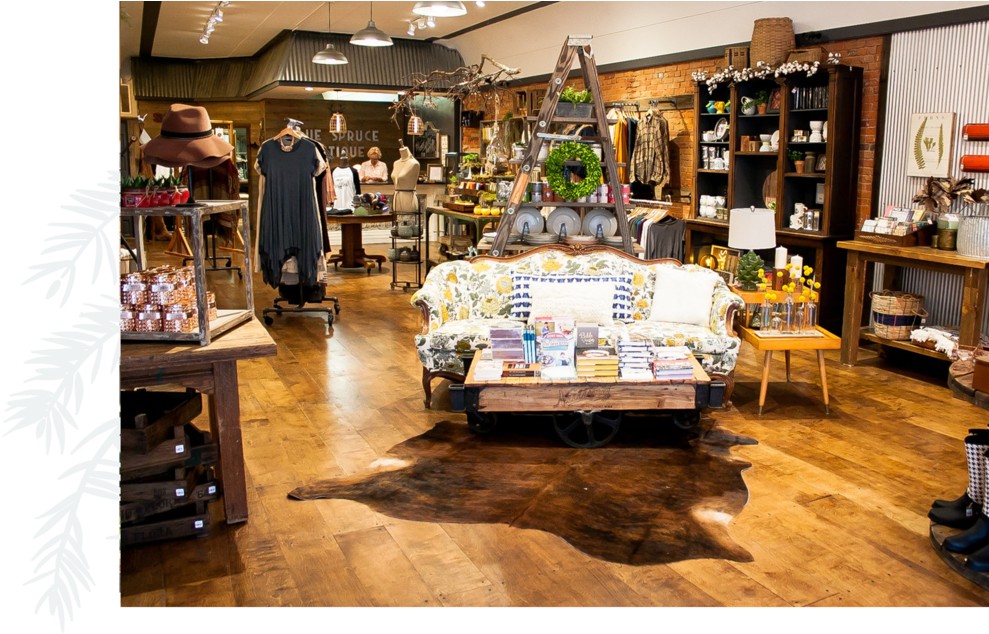 Blue Spruce 2 - Alpine A110 (1000x675), Png Download