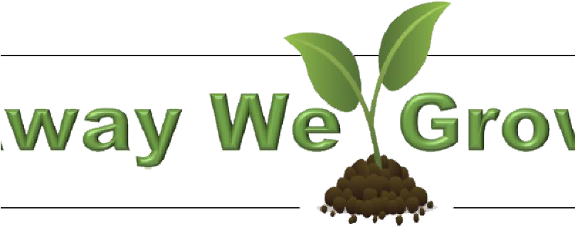 Away We Grow - Pray For Guatemala Volcano (807x342), Png Download