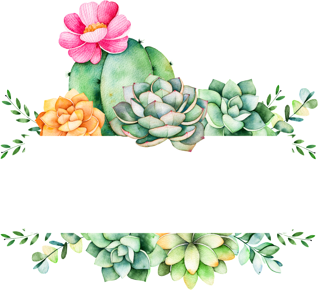 Easy To Grow Plants Cartoon Transparent - Cactus And Succulent Logo (1024x935), Png Download