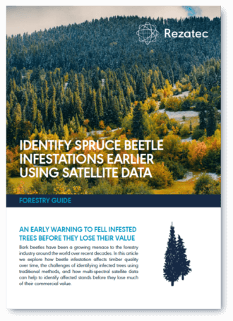 Download Forest Pest Guide - Dendroctonus Rufipennis (330x455), Png Download