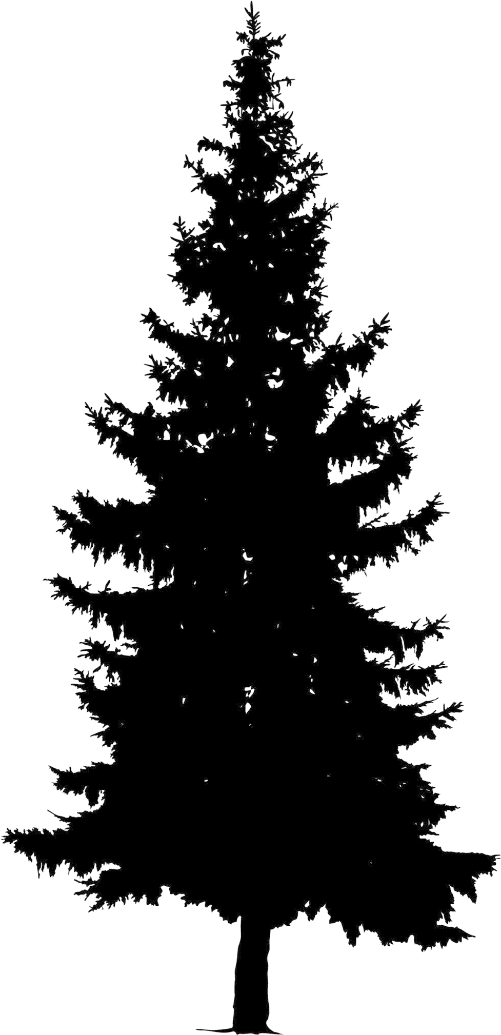 Welcome To Britt's Café - Pine Tree Vector Png (1700x2267), Png Download