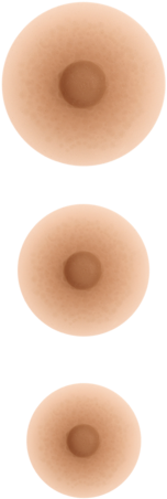 Nipples Png Transparent (277x484), Png Download