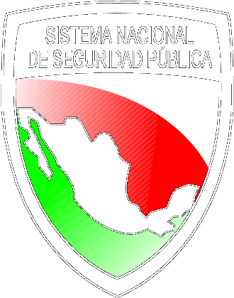 Sistema Nacional De Seguridad Publica - International Law 2/e Paperback (345x439), Png Download