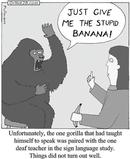 Previous Comic, Gorilla Sign Language - Gorilla Sign Language Greeting Card (425x522), Png Download