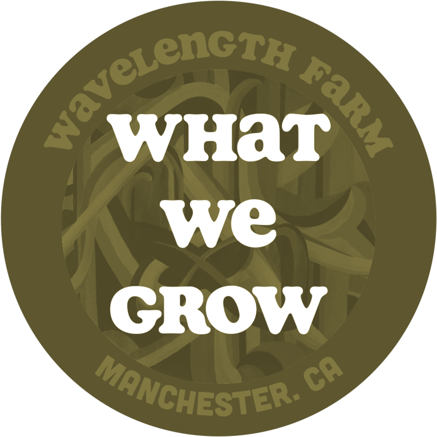 What We Grow - Hillary (1000x1000), Png Download