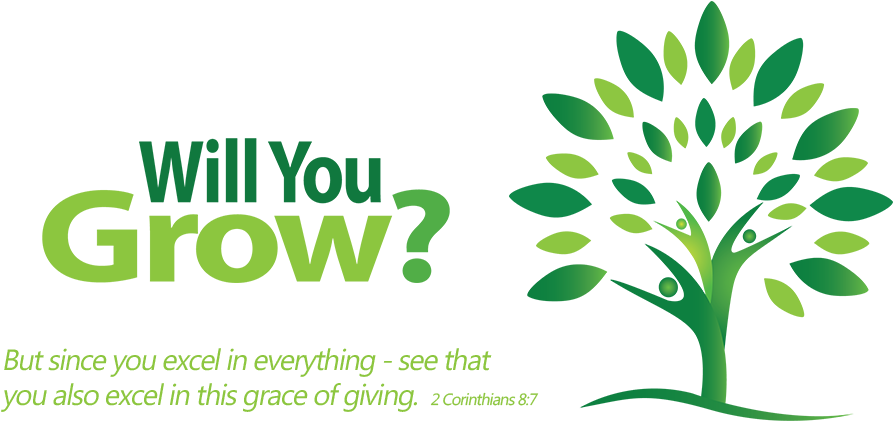 Follow Us On One Of Our Social Networking Platforms - Logo Tree Design Png (892x428), Png Download