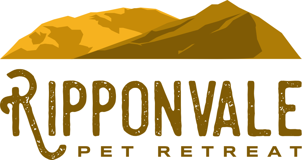 Home - #period Hacks (1000x530), Png Download