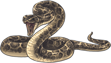 9cmxgtz - Portable Network Graphics (465x263), Png Download