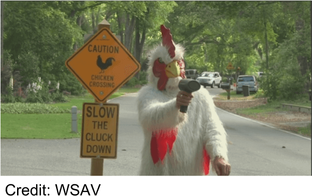Residents In One - Slow The Cluck Down (646x410), Png Download