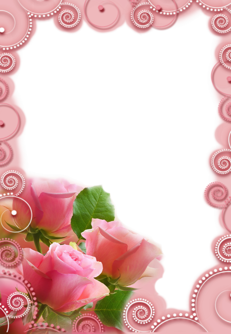 Efecto De Fotos De La Categoría - Red Rose Live Wallpaper For Mobile (775x1120), Png Download