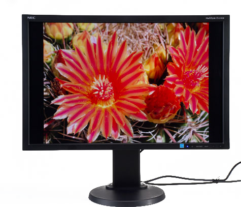 To Paraphrase An Old Adage - Nec Multisync E245wmi (475x407), Png Download