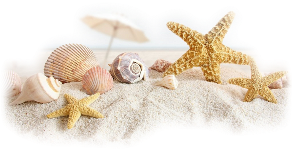 Fd34creationstubes Mar Y Playa, Portada Fb, - Beach Scene Cover Photos For Facebook (600x450), Png Download