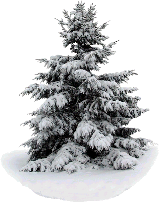 The Legend Lives, On A Snowy Christmas Night, Elvis - Cd Baby.com/indys Roger Macnaughton - Quiet Christmas (342x414), Png Download