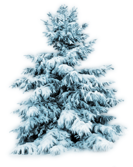 Thumb Image - Arboles Nevados Png (600x600), Png Download