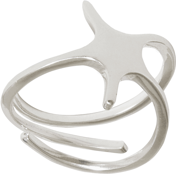 Anillo Estrella De Mar Plata - Ring (1000x1000), Png Download