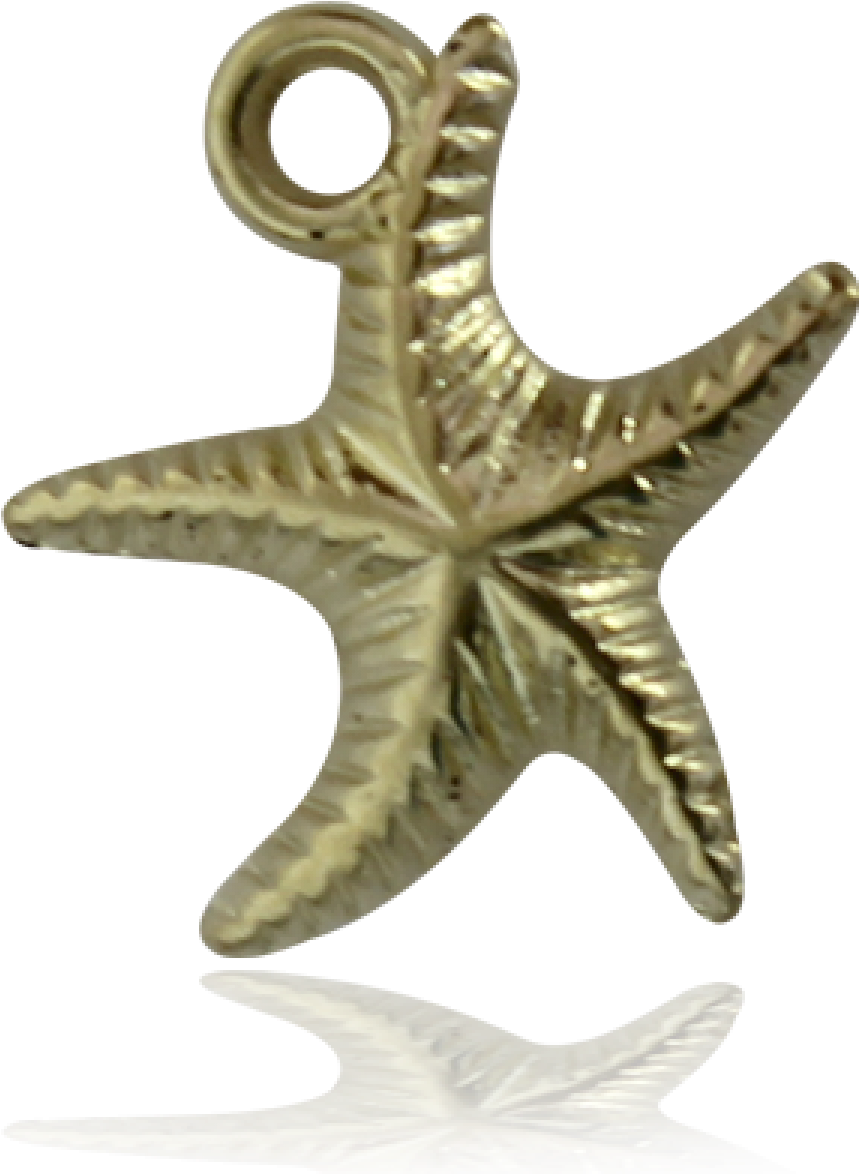 Dije Estrella De Mar Baño De Oro,3 - Starfish (1200x1200), Png Download