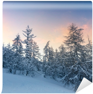 Beautiful Winter Landscape With Snow Covered Trees - Wallpaper (400x400), Png Download