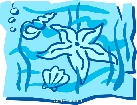 Estrella De Mar Libres De Derechos Ilustraciones De - Onelove Oneocean Square Sticker 3" X 3" (480x369), Png Download