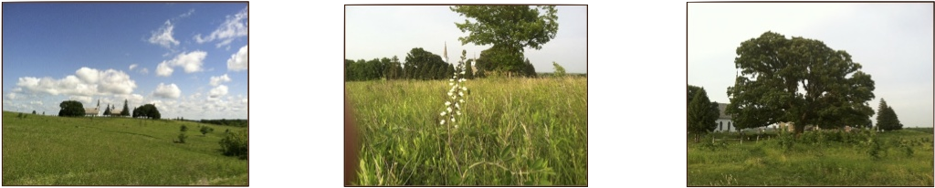 Prairie Notes - Sweet Grass (1055x231), Png Download