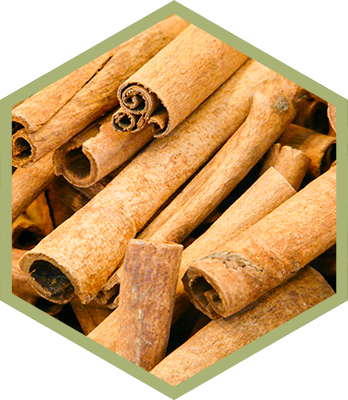 Natural Organic Ingredient Cinnamon - Candle Scent Block - Cinnamon, Pd (348x400), Png Download