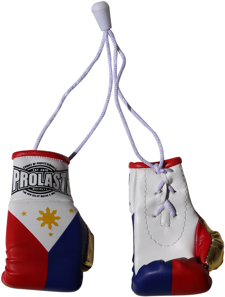 Prolast® Philippines Mini Boxing Gloves - Boxing (853x1280), Png Download