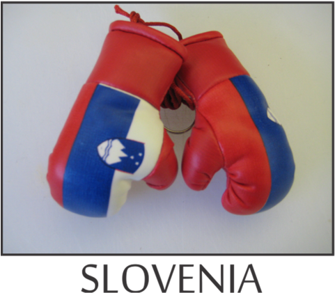 Mini Boxing Gloves - Boxing (480x480), Png Download
