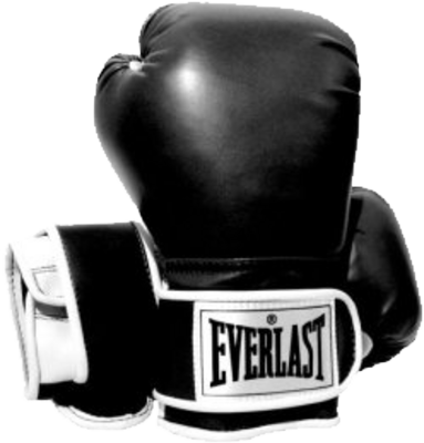 Everlast Boxing Gloves Psd - Black And White Everlast Boxing Gloves (383x400), Png Download