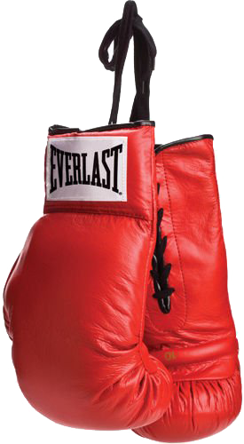 Discover Ideas About Boxing Training Gloves - Everlast Boxing Gloves (275x500), Png Download