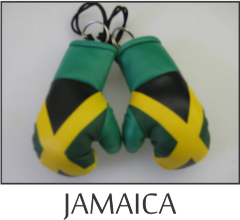 Mini Boxing Gloves - Boxing Glove (480x480), Png Download