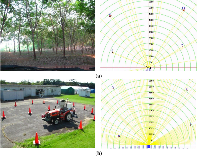 Lrf Data From The Para-rubber Plantation And (b) The - Natural Rubber (850x643), Png Download