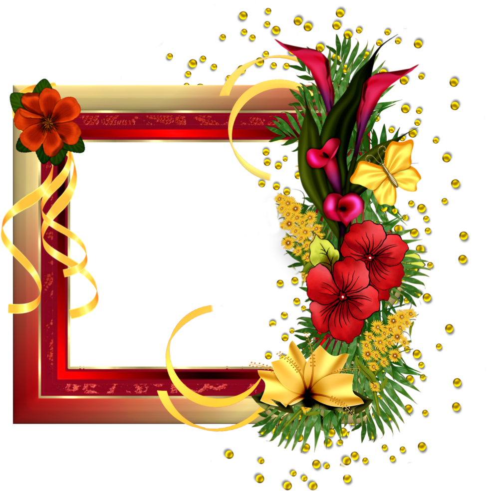 Red Gold Frame With Field Flowers - Happy Birthday Friends Frame (1024x1024), Png Download