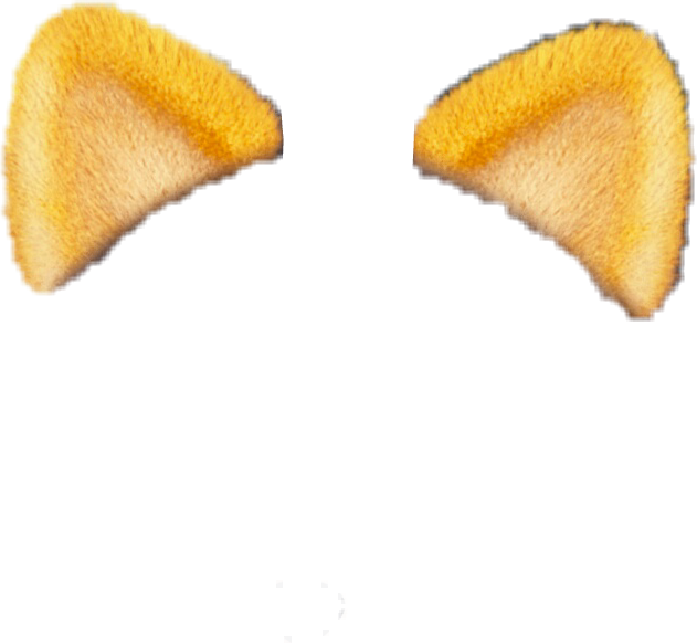 Fox Ears Snapchatfilter Fox Ears - Ear (631x582), Png Download