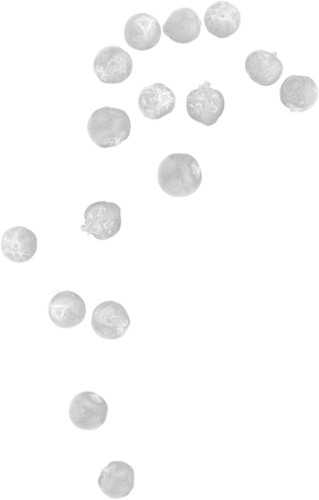 Crafter's Is An Estonian-made Artisanal Gin Inspired - Coin (289x453), Png Download