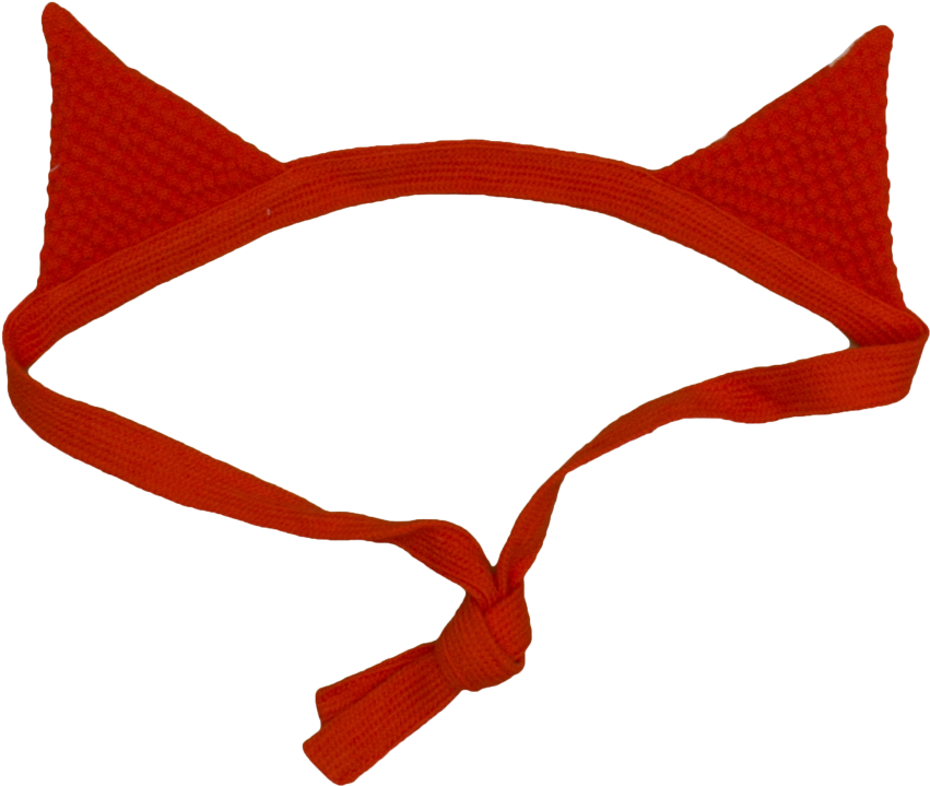 Download Noe Zoe Fox Ears Png Image With No Background Pngkey Com