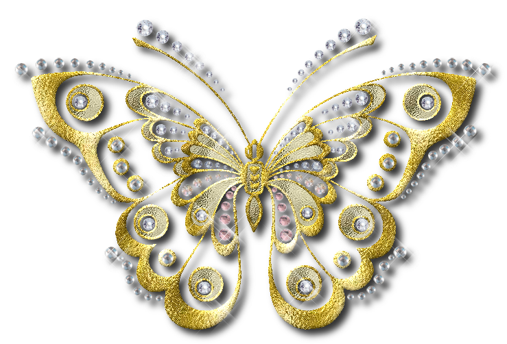 Mariposas Decoradas Con Perlas (738x520), Png Download