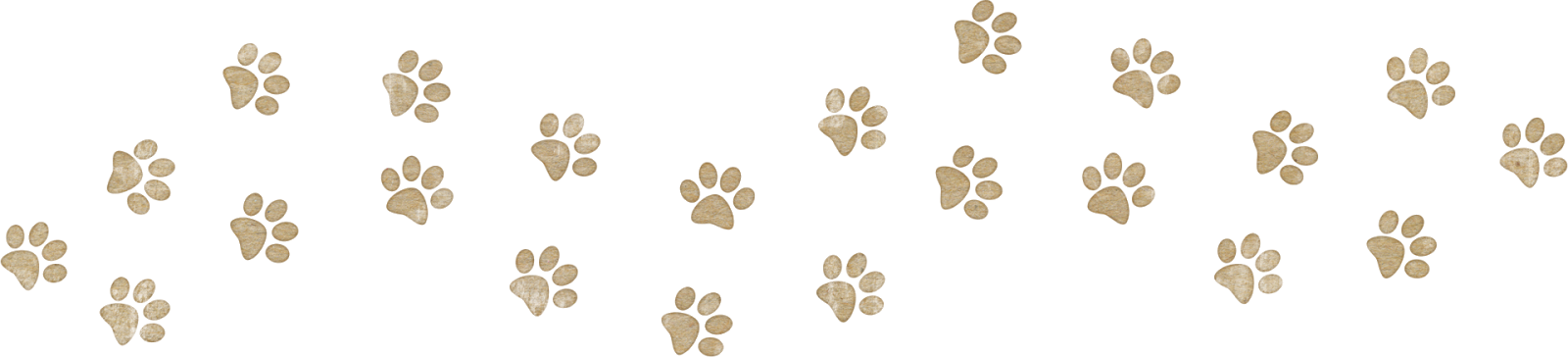 Huellas De Gatos - Dass Mir Der Hund Das Liebste (1600x364), Png Download