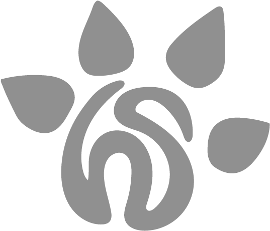 Huella Salvaje Huella Salvaje - Crab-eating Fox (600x502), Png Download