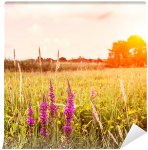 Prince Of Wales Feathers (400x400), Png Download