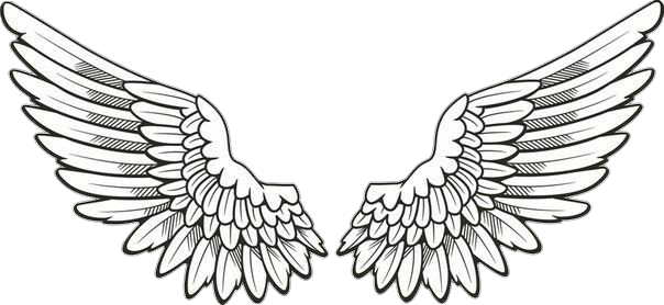 Report Abuse - Angel Wings Drawing Png (604x278), Png Download
