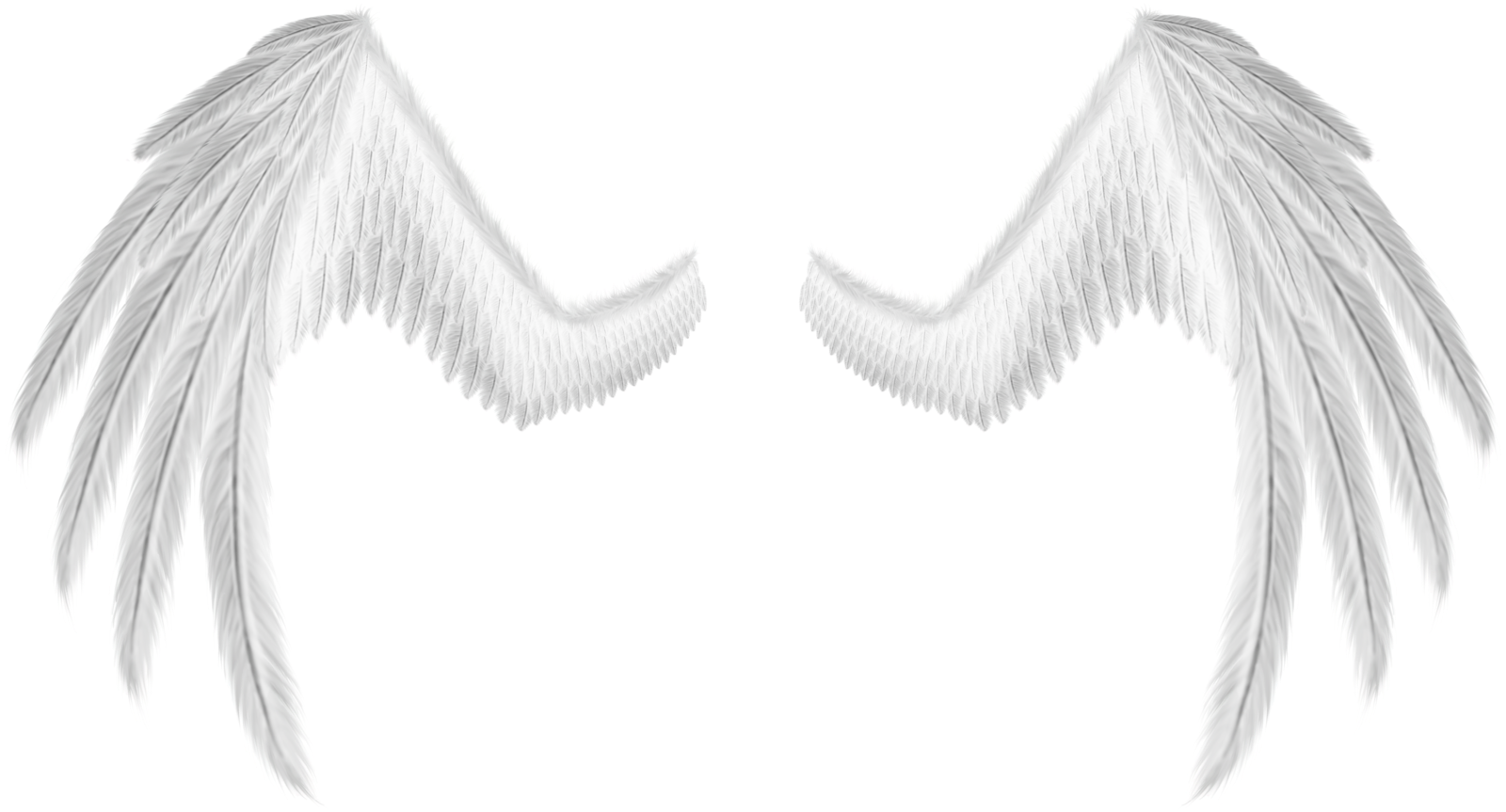 Asas De Anjo Branca Png - White (1600x863), Png Download