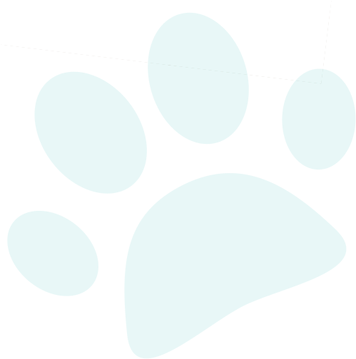 Clean Dog, Is A Product That Makes It Easy To Go For - Huellas De Perro Blancas Png (505x513), Png Download