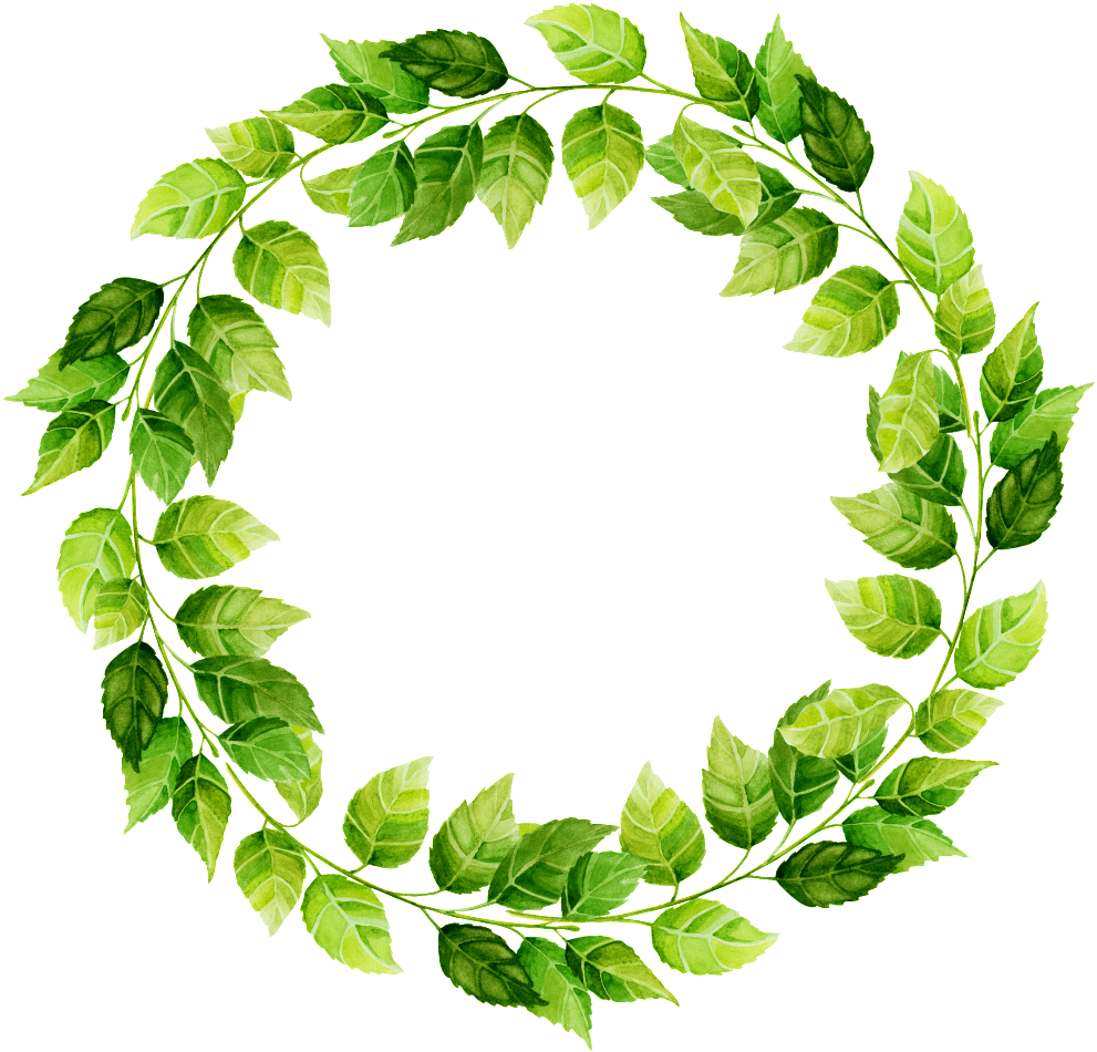 Dibujado A Mano Render De Leaf Circle Png Transparente - Portable Network Graphics (1024x1024), Png Download