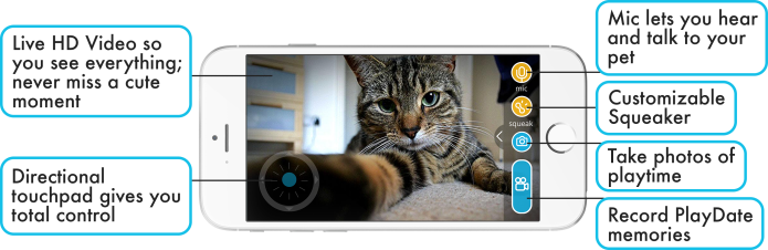 Similar To A Hamster Ball, The Playdate Smart Ball - Cat (695x226), Png Download