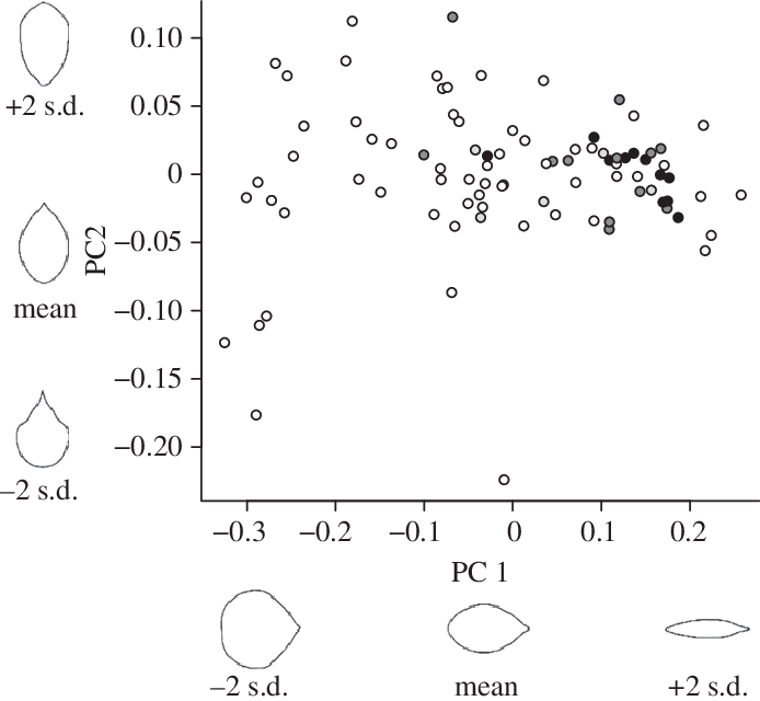 Principal Components Analysis Of Elliptical Fourier - Diagram (694x640), Png Download