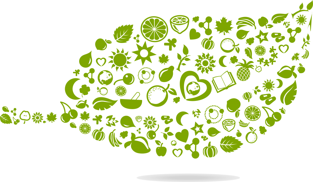 Puradyme Leaf - Green Lifestyle Png (1024x597), Png Download